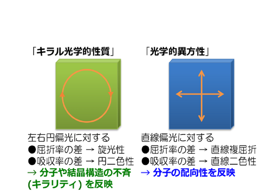 物性グループ概要図