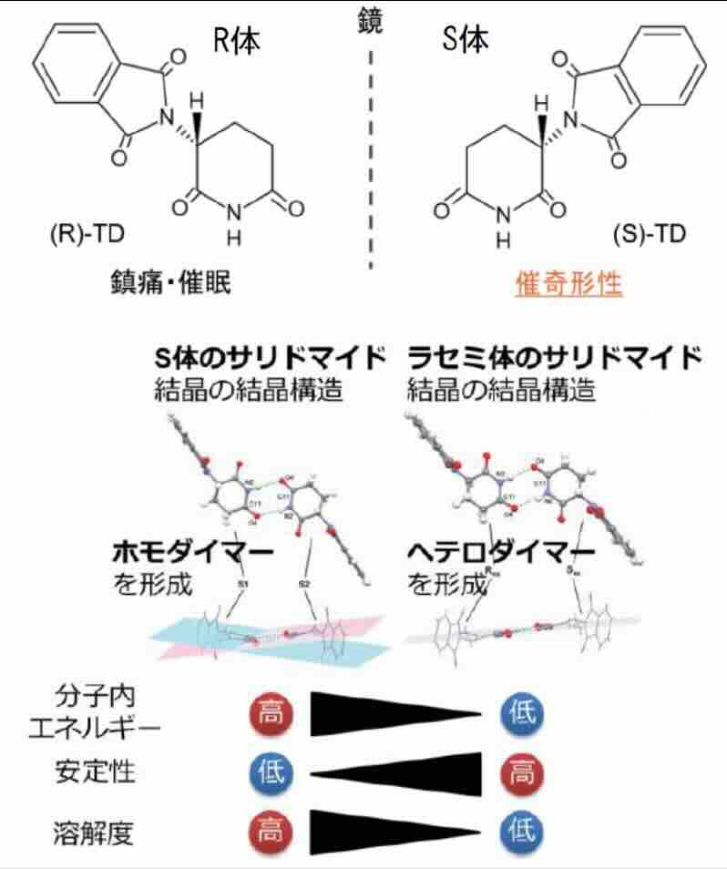 サリドマイド研究